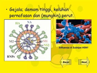 Gejala;  demam tinggi, keluhan pernafasan dan (mungkin) perut. Back Next Influenza A Subtipe H5N1 