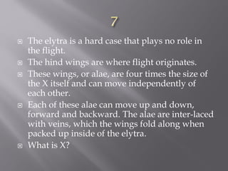  The elytra is a hard case that plays no role in
the flight.
 The hind wings are where flight originates.
 These wings, or alae, are four times the size of
the X itself and can move independently of
each other.
 Each of these alae can move up and down,
forward and backward. The alae are inter-laced
with veins, which the wings fold along when
packed up inside of the elytra.
 What is X?
 
