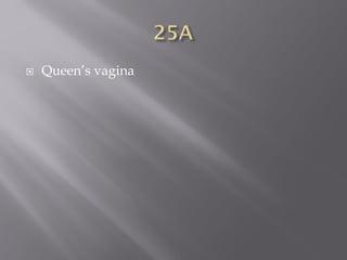  Queen’s vagina
 
