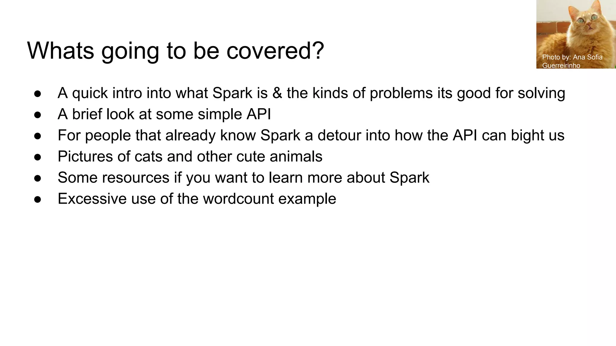 Whats going to be covered?
● A quick intro into what Spark is & the kinds of problems its good for solving
● A brief look at some simple API
● For people that already know Spark a detour into how the API can bight us
● Pictures of cats and other cute animals
● Some resources if you want to learn more about Spark
● Excessive use of the wordcount example
Photo by: Ana Sofia
Guerreirinho
 