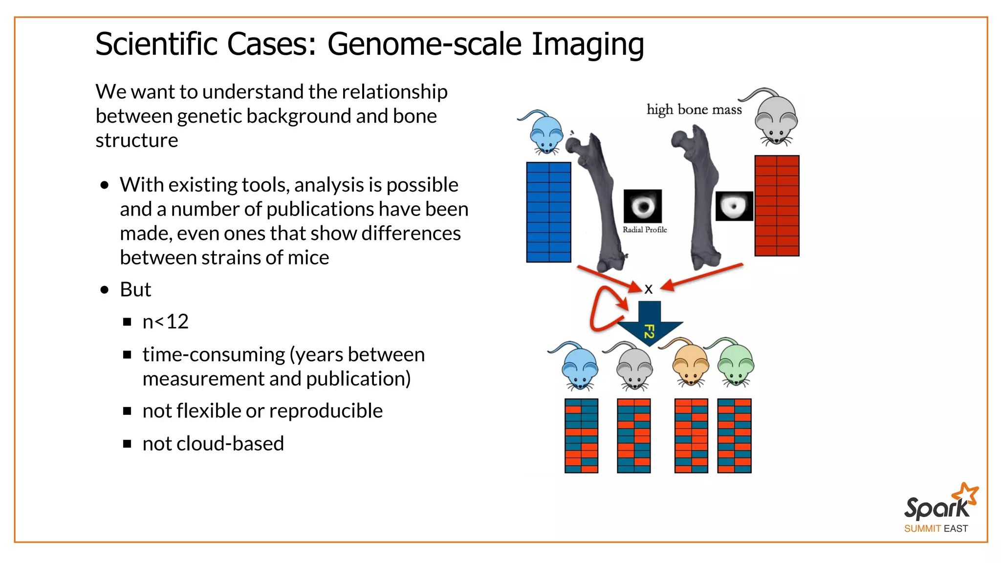 SUMMIT EAST
Scientific	Cases:	Genome-scale	Imaging
We	want	to	understand	the	relationship
between	genetic	background	and	bone
structure
With	existing	tools,	analysis	is	possible
and	a	number	of	publications	have	been
made,	even	ones	that	show	differences
between	strains	of	mice
But
n<12
time-consuming	(years	between
measurement	and	publication)
not	flexible	or	reproducible
not	cloud-based
 