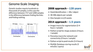 SUMMIT EAST
Genome-Scale	Imaging
Genetic	studies	require	hundreds	to
thousands	of	samples,	in	this	case	the
difference	between	717	and	1200	samples
is	the	difference	between	finding	the	links
and	finding	nothing.
2008	approach	-	120	years
Hand	Identification	->	30s	/	object
30-40k	objects	per	sample
One	Sample	in	6.25	weeks
2014	approach	-	1.5	years
ImageJ	macro	for	segmentation	(2-4
hours	/	sample)
Python	script	for	shape	analysis	(3	hours
/	sample)
Paraview	macro	for	network	and
connectivity	(2	hours	/	sample)
Python	script	to	pool	results	(3-4	hours)
MySQL	Database	storing	results	(5
minutes	/	query)
 