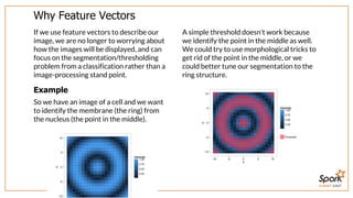 SUMMIT EAST
Why	Feature	Vectors
If	we	use	feature	vectors	to	describe	our
image,	we	are	no	longer	to	worrying	about
how	the	images	will	be	displayed,	and	can
focus	on	the	segmentation/thresholding
problem	from	a	classification	rather	than	a
image-processing	stand	point.
Example
So	we	have	an	image	of	a	cell	and	we	want
to	identify	the	membrane	(the	ring)	from
the	nucleus	(the	point	in	the	middle).
A	simple	threshold	doesn't	work	because
we	identify	the	point	in	the	middle	as	well.
We	could	try	to	use	morphological	tricks	to
get	rid	of	the	point	in	the	middle,	or	we
could	better	tune	our	segmentation	to	the
ring	structure.
 