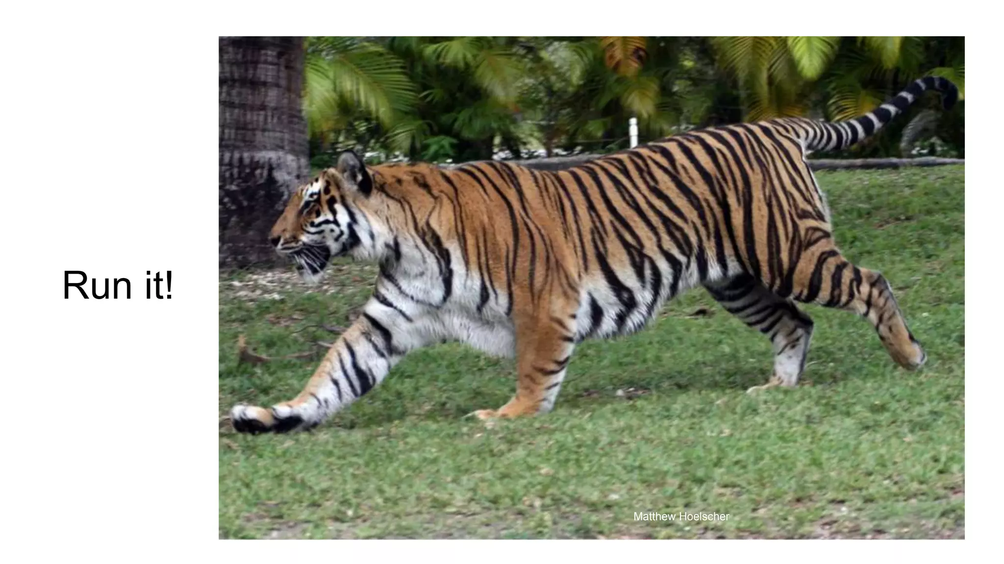 Run it!
Matthew Hoelscher
 