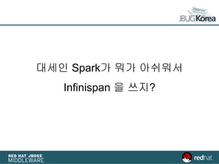 대세인 Spark가 뭐가 아쉬워서
Infinispan 을 쓰지?
 
