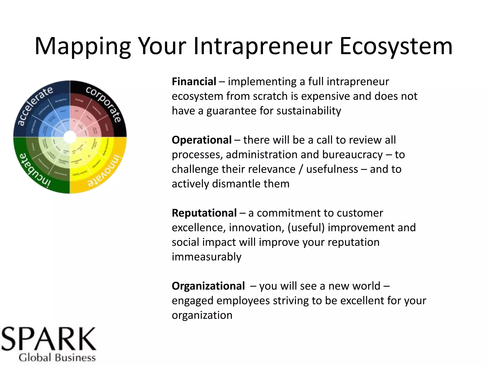 Mapping Your Intrapreneur Ecosystem
Financial – implementing a full intrapreneur
ecosystem from scratch is expensive and does not
have a guarantee for sustainability

Operational – there will be a call to review all
processes, administration and bureaucracy – to
challenge their relevance / usefulness – and to
actively dismantle them
Reputational – a commitment to customer
excellence, innovation, (useful) improvement and
social impact will improve your reputation
immeasurably
Organizational – you will see a new world –
engaged employees striving to be excellent for your
organization

 