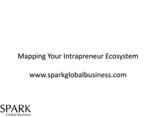 Mapping Your Intrapreneur Ecosystem
www.sparkglobalbusiness.com

 