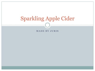 Sparkling Apple Cider

      MADE BY JURIS
 