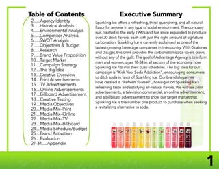 Sparkling Ice Advertising Book | PDF