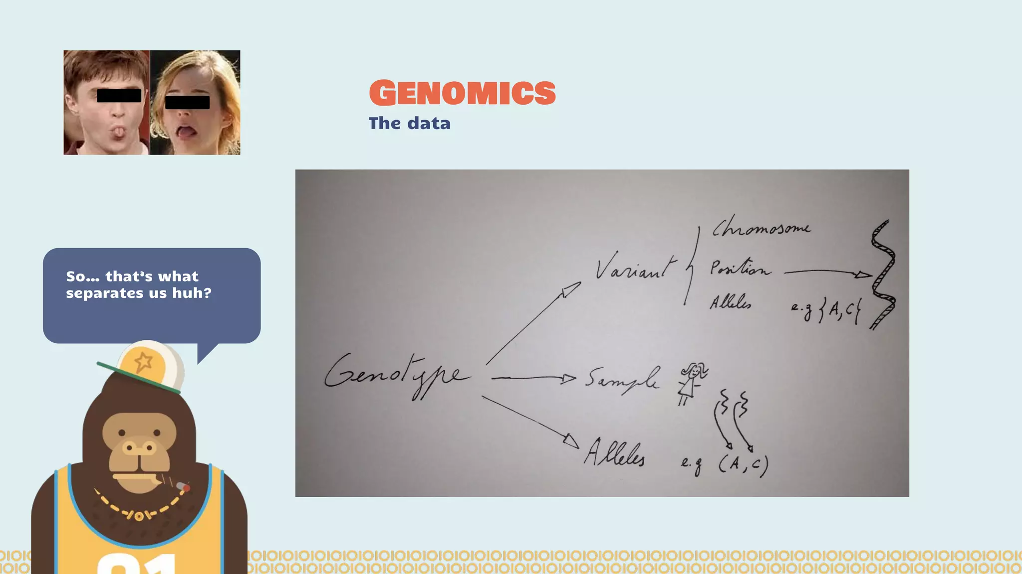 Genomics
The data
So… that’s what
separates us huh?
 