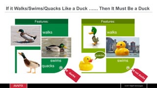 © 2017 MapR Technologies
If it Walks/Swims/Quacks Like a Duck …… Then It Must Be a Duck
swims
walks
quacks
Features:
walks
quacks
swims
Features:
 