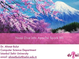 Dr. Ahmet Bulut 
Computer Science Department 
Istanbul Sehir University
email: ahmetbulut@sehir.edu.tr
Nose Dive into Apache Spark ML
 