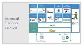 Essential
Hadoop
Services
 
