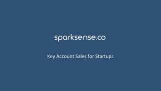 Key	Account	Sales	for	Startups	
sparksense.co	
 