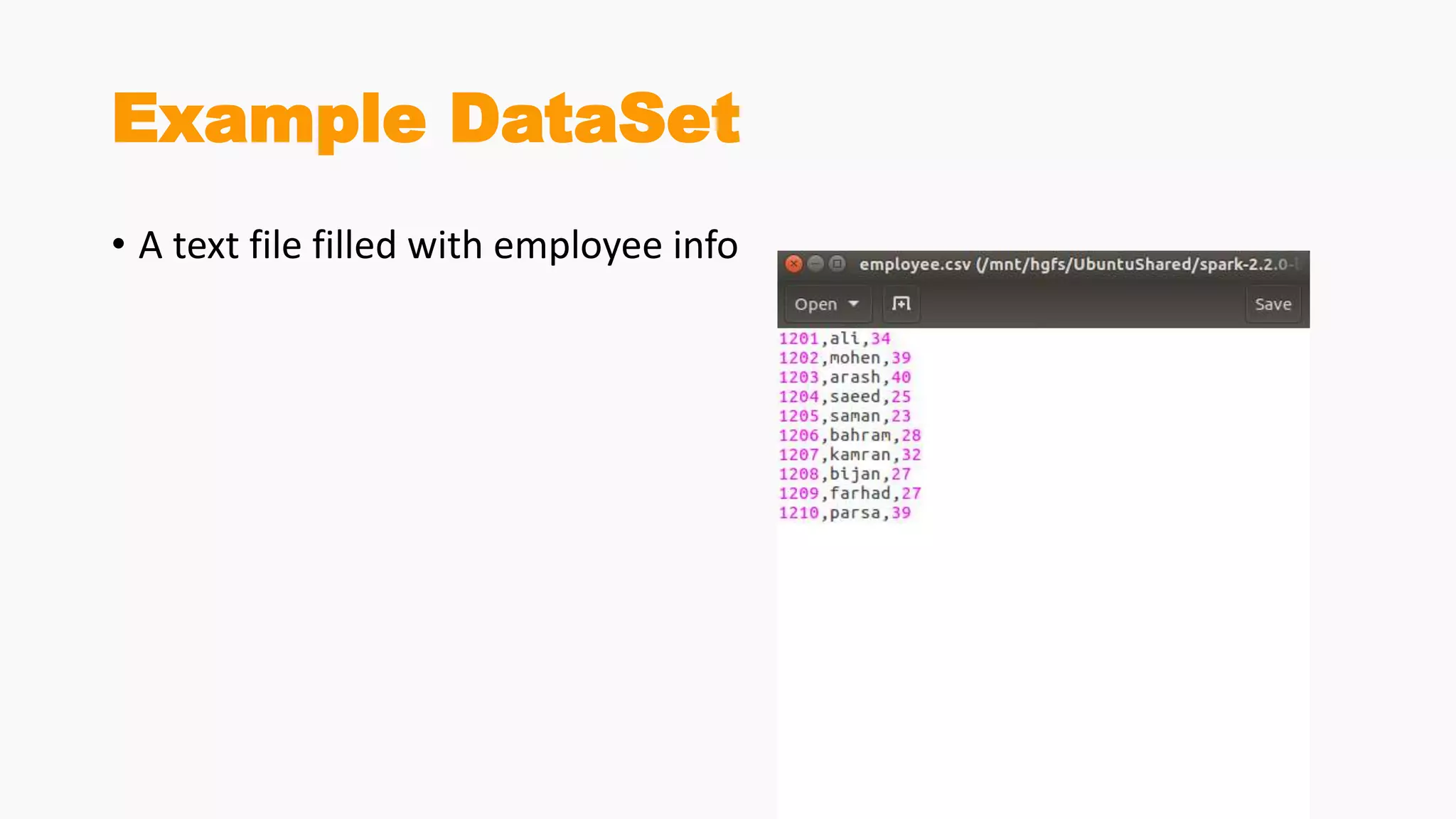 Example DataSet
• A text file filled with employee info
 