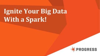 Ignite Your Big Data
With a Spark!
 