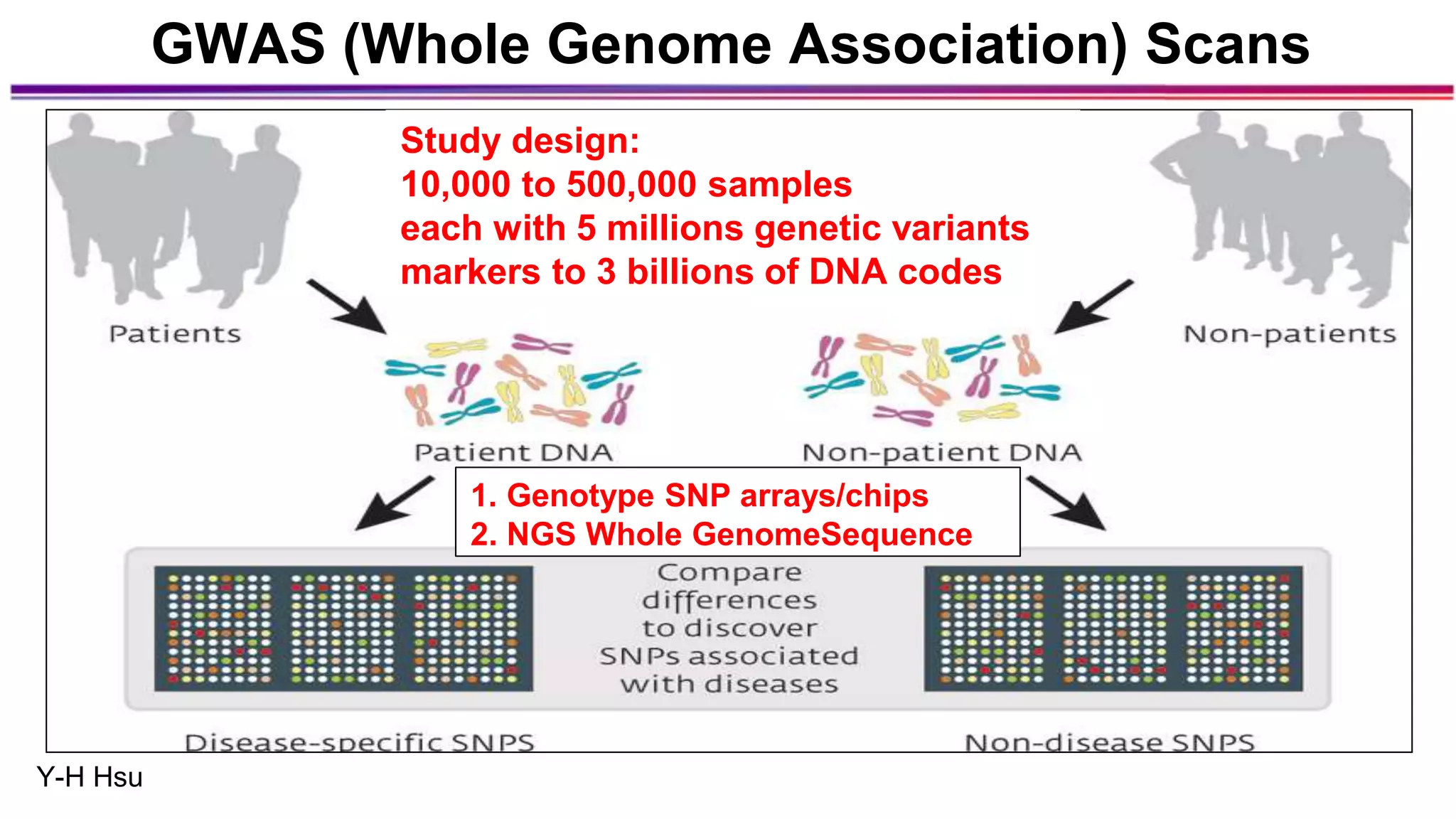 Study design:
10,000 to 500,000 samples
each with 5 millions genetic variants
markers to 3 billions of DNA codes
GWAS (Whole Genome Association) Scans
Y-H Hsu
1. Genotype SNP arrays/chips
2. NGS Whole GenomeSequence
 