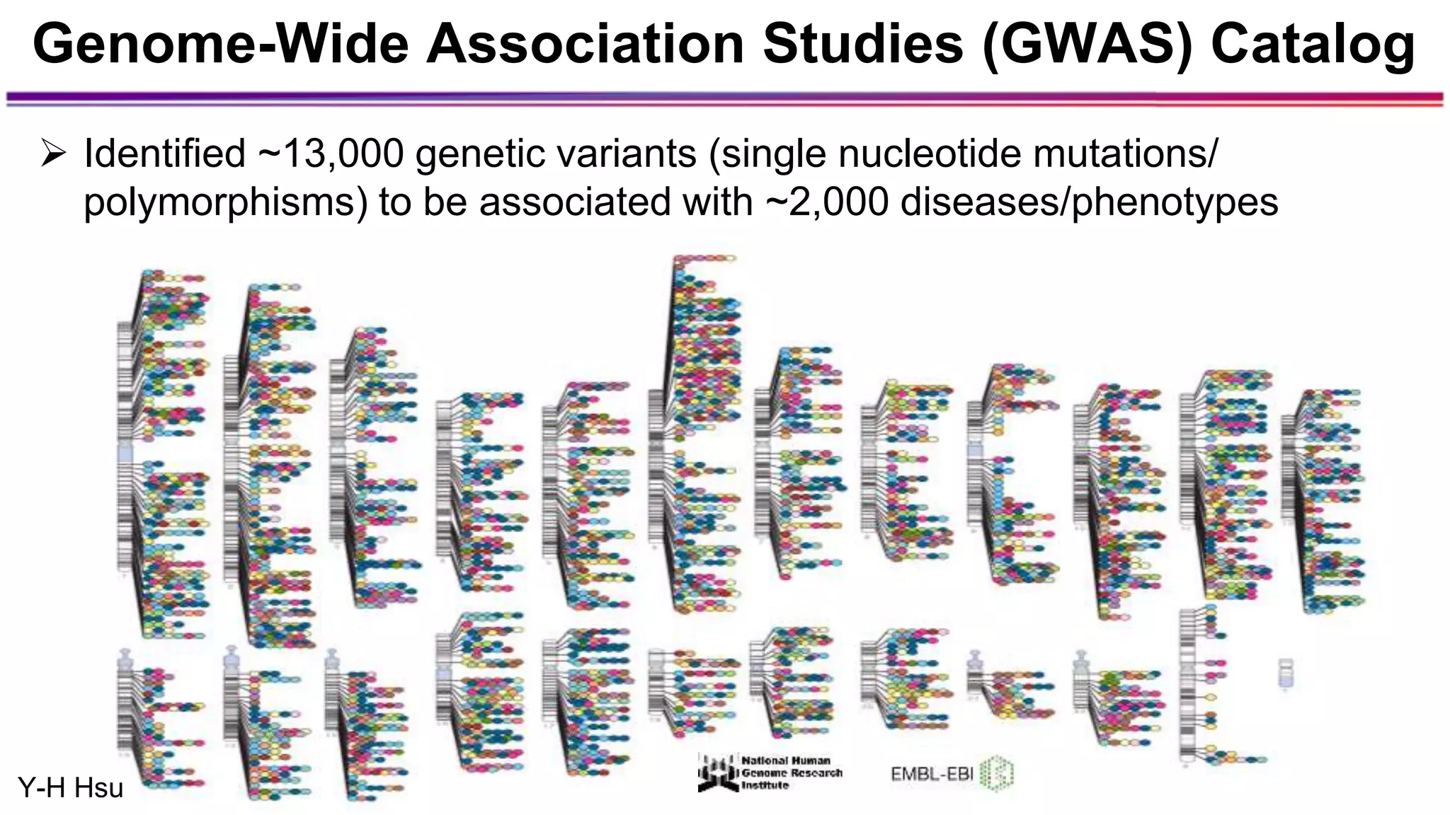 Genome-Wide Association Studies (GWAS) Catalog
Y-H Hsu
 Identified ~13,000 genetic variants (single nucleotide mutations/
polymorphisms) to be associated with ~2,000 diseases/phenotypes
 