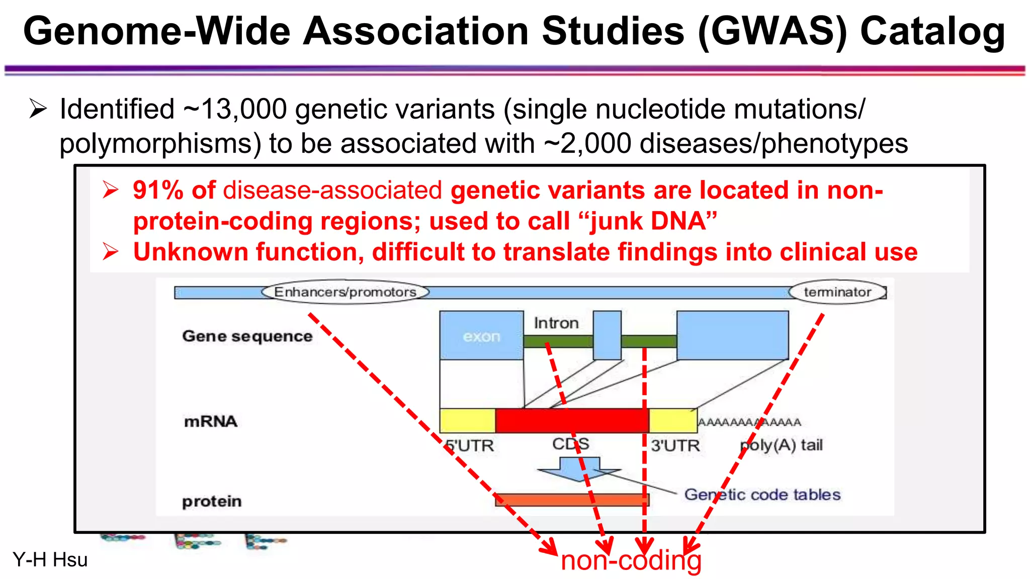 Genome-Wide Association Studies (GWAS) Catalog
 Identified ~13,000 genetic variants (single nucleotide mutations/
polymorphisms) to be associated with ~2,000 diseases/phenotypes
 91% of disease-associated genetic variants are located in non-
protein-coding regions; used to call “junk DNA”
 Unknown function, difficult to translate findings into clinical use
Y-H Hsu non-coding
 