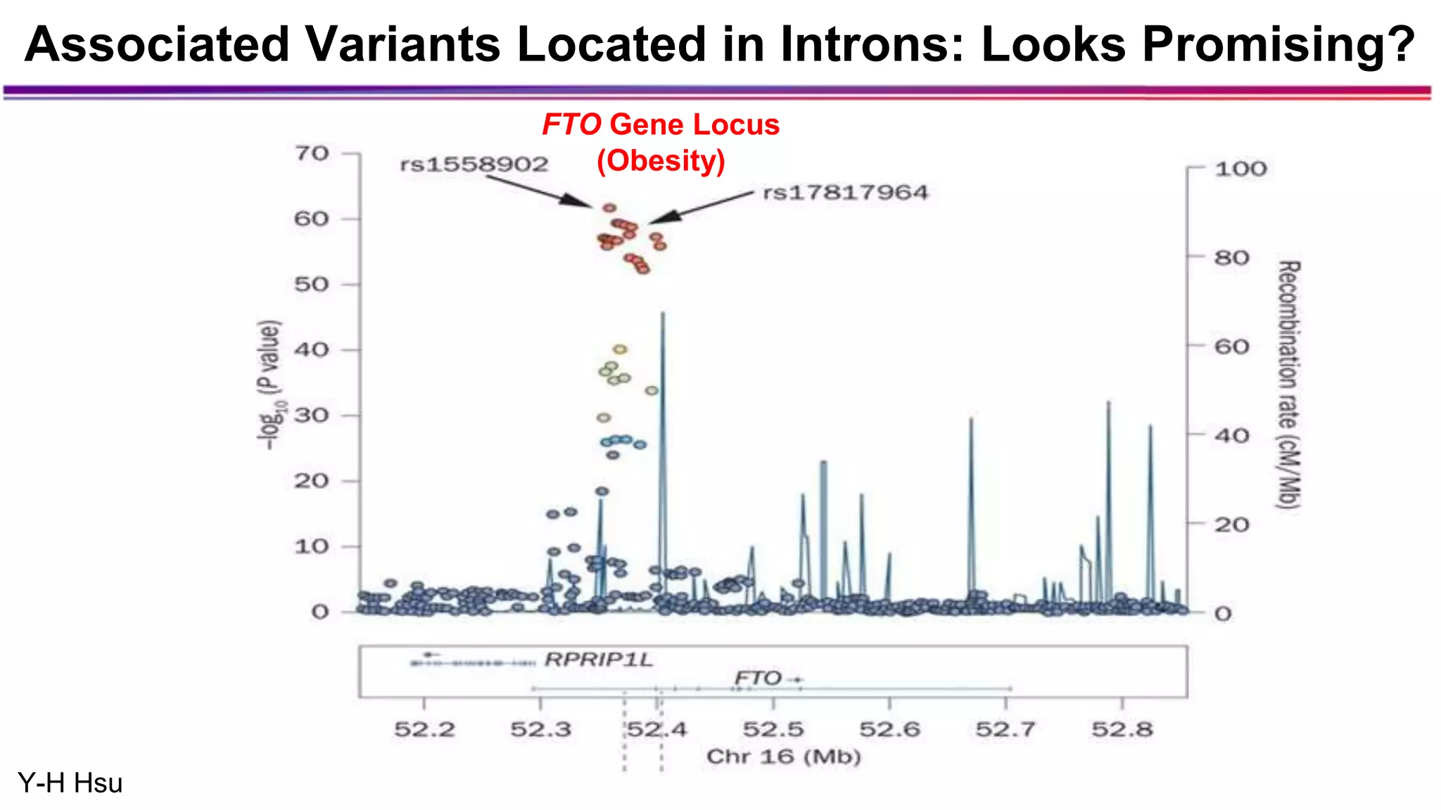 FTO Gene Locus
(Obesity)
Associated Variants Located in Introns: Looks Promising?
Y-H Hsu
 