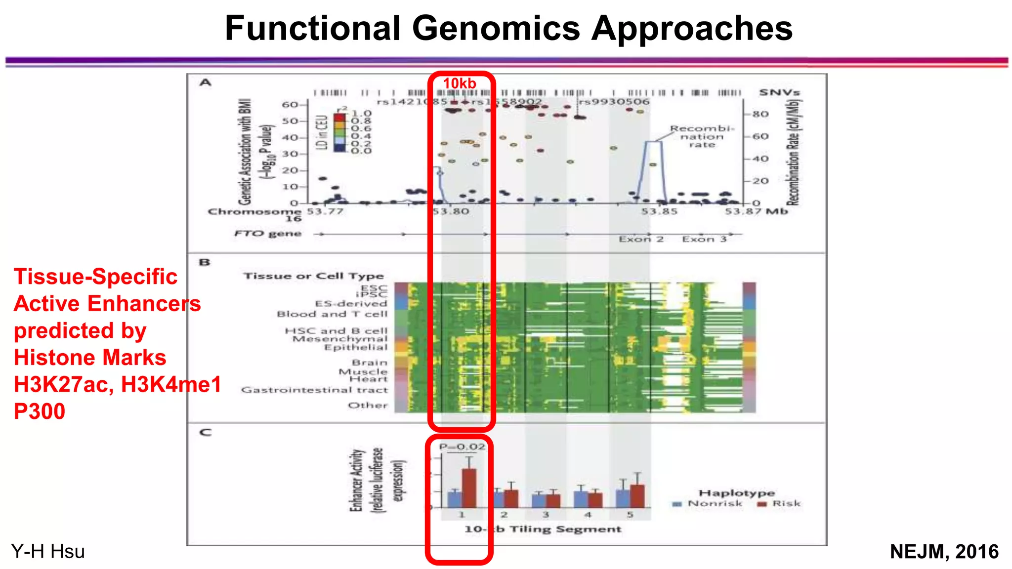10kb
Functional Genomics Approaches
Tissue-Specific
Active Enhancers
predicted by
Histone Marks
H3K27ac, H3K4me1
P300
Y-H Hsu NEJM, 2016
 