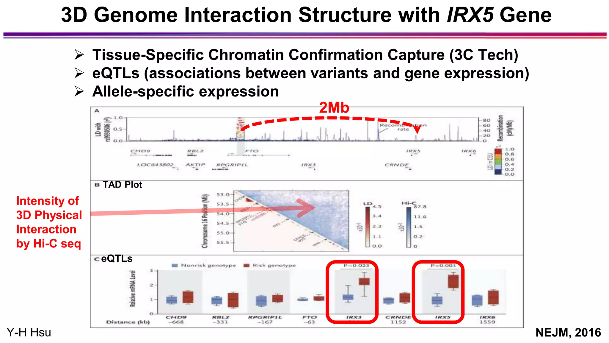eQTLs
Intensity of
3D Physical
Interaction
by Hi-C seq
TAD Plot
3D Genome Interaction Structure with IRX5 Gene
 Tissue-Specific Chromatin Confirmation Capture (3C Tech)
 eQTLs (associations between variants and gene expression)
 Allele-specific expression
2Mb
Y-H Hsu NEJM, 2016
 