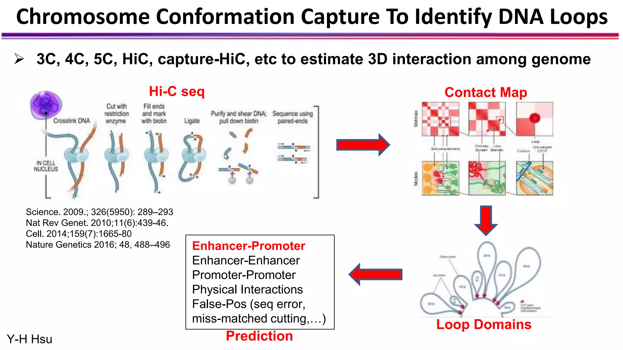 Chromosome Conformation Capture To Identify DNA Loops
Science. 2009.; 326(5950): 289–293
Nat Rev Genet. 2010;11(6):439-46.
Cell. 2014;159(7):1665-80
Nature Genetics 2016; 48, 488–496
 3C, 4C, 5C, HiC, capture-HiC, etc to estimate 3D interaction among genome
Hi-C seq Contact Map
Loop Domains
Enhancer-Promoter
Enhancer-Enhancer
Promoter-Promoter
Physical Interactions
False-Pos (seq error,
miss-matched cutting,…)
PredictionY-H Hsu
 