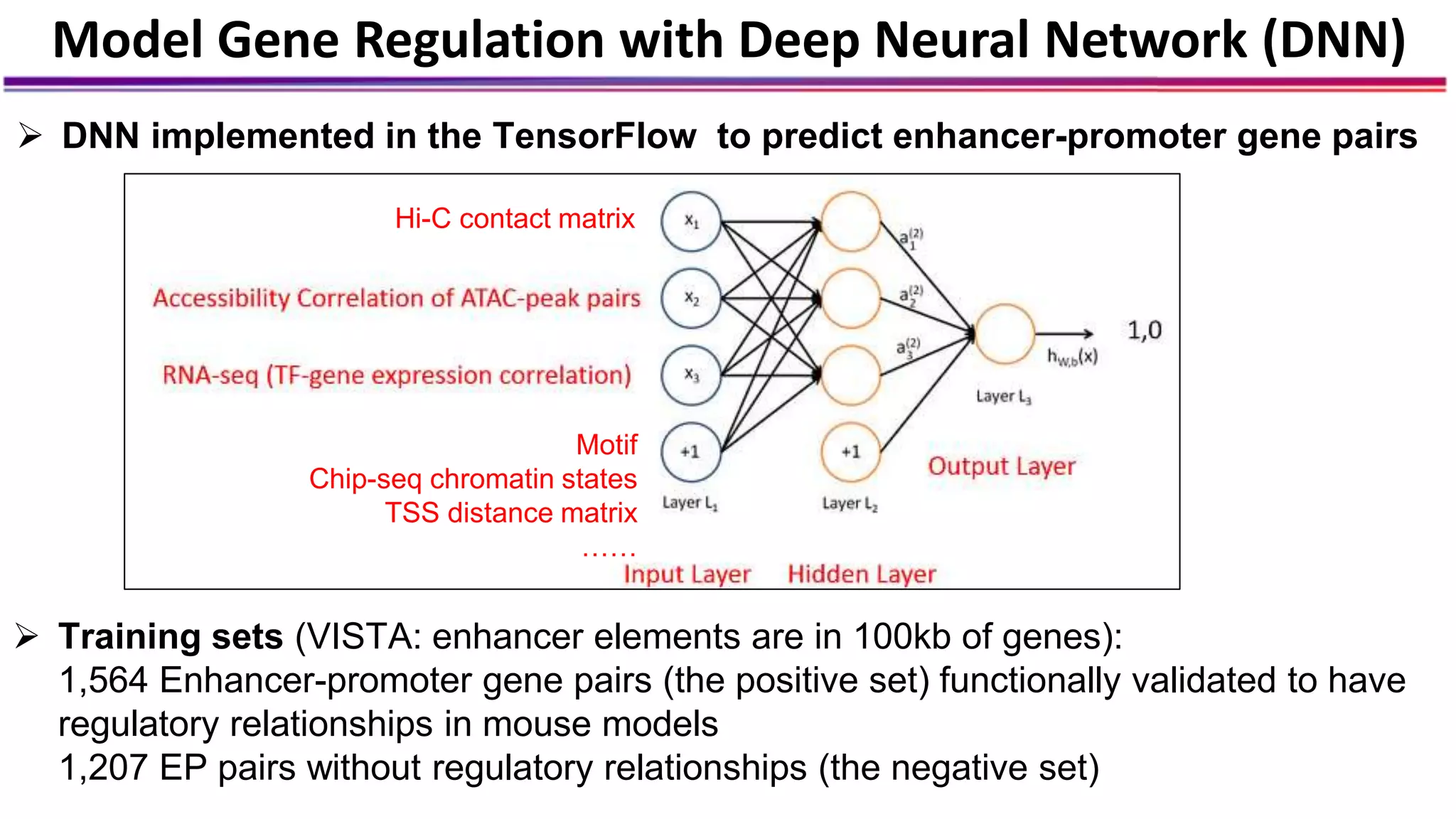 Model Gene Regulation with Deep Neural Network (DNN)
 DNN implemented in the TensorFlow to predict enhancer-promoter gene pairs
Motif
Chip-seq chromatin states
TSS distance matrix
……
Hi-C contact matrix
 Training sets (VISTA: enhancer elements are in 100kb of genes):
1,564 Enhancer-promoter gene pairs (the positive set) functionally validated to have
regulatory relationships in mouse models
1,207 EP pairs without regulatory relationships (the negative set)
 
