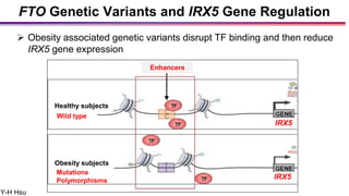 FTO Genetic Variants and IRX5 Gene Regulation
Y-H Hsu
 Obesity associated genetic variants disrupt TF binding and then re...