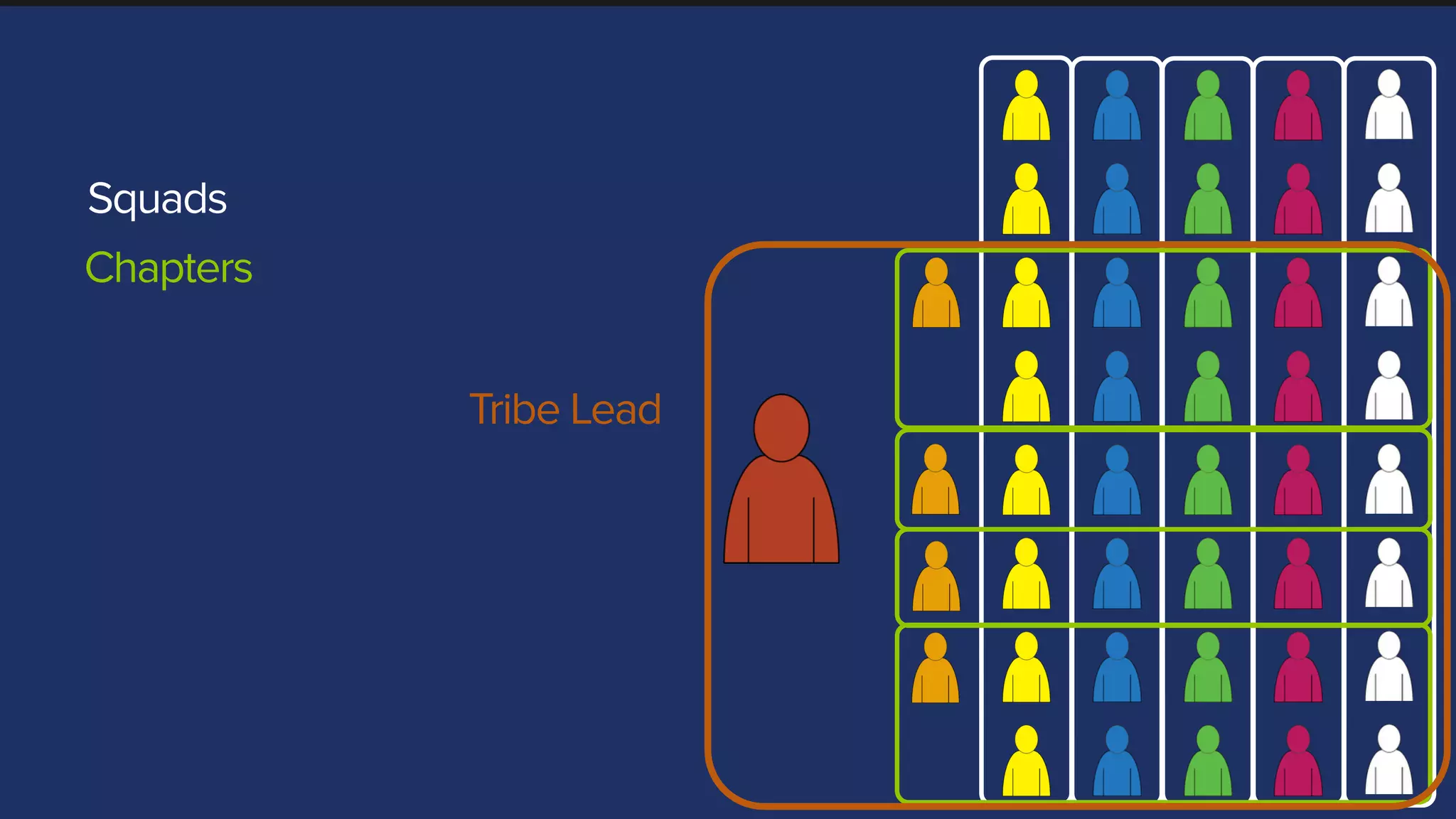 Tribe Lead
Squads
Chapters
 