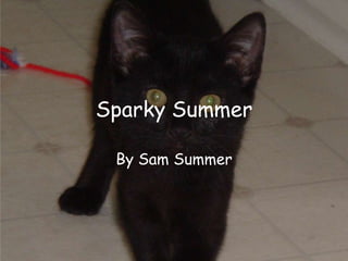 Sparky Summer By Sam Summer 