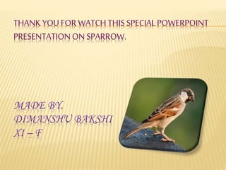 THANK YOU FOR WATCH THIS SPECIALPOWERPOINT
PRESENTATIONON SPARROW.
MADE BY.
DIMANSHU BAKSHI
XI – F
 