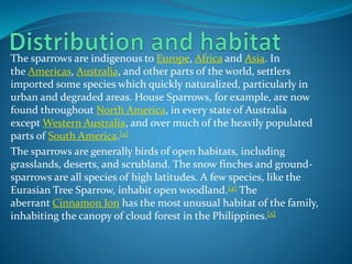 The sparrows are indigenous to Europe, Africa and Asia. In
the Americas, Australia, and other parts of the world, settlers
imported some species which quickly naturalized, particularly in
urban and degraded areas. House Sparrows, for example, are now
found throughout North America, in every state of Australia
except Western Australia, and over much of the heavily populated
parts of South America.[4]
The sparrows are generally birds of open habitats, including
grasslands, deserts, and scrubland. The snow finches and ground-
sparrows are all species of high latitudes. A few species, like the
Eurasian Tree Sparrow, inhabit open woodland.[4] The
aberrant Cinnamon Ion has the most unusual habitat of the family,
inhabiting the canopy of cloud forest in the Philippines.[5]
 
