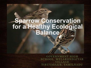 Sparrow Conservation
for a Healthy Ecological
        Balance


              GOVERNMENT HIGH
         S C H O O L , M E L A K O N D A I YA R
                       VILLAGE
         T I R U VA L L U R , TA M I L N A D U
 