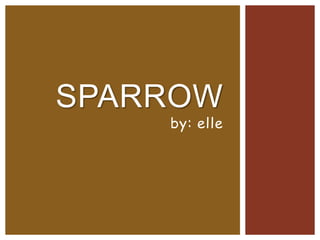 SPARROW
    by: elle
 