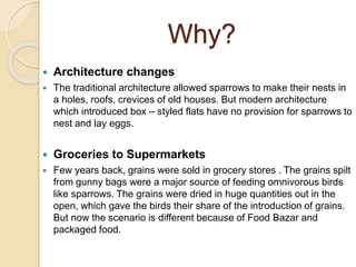 Why?
 Architecture changes
 The traditional architecture allowed sparrows to make their nests in
a holes, roofs, crevices of old houses. But modern architecture
which introduced box – styled flats have no provision for sparrows to
nest and lay eggs.
 Groceries to Supermarkets
 Few years back, grains were sold in grocery stores . The grains spilt
from gunny bags were a major source of feeding omnivorous birds
like sparrows. The grains were dried in huge quantities out in the
open, which gave the birds their share of the introduction of grains.
But now the scenario is different because of Food Bazar and
packaged food.
 