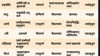 इ ब तः
पा ण त ज
ङ्
घाम ये
मां
समम
काला तर ाणह
रं
शो णत ये
ण
मरणं
अधा गु
लं
जानु
,
जङ्
घोव ः सन्
धाने
स धमम वै
क यकरं ख ता य गु
ल
आणी
ऊ वमु
भयत ्
य गु
लम
नायु
मम वै
क यकरं
शोफा भवृः
त ध
अधा गु
लं
उव ऊ म ये सरामम वै
क यकरं
शो णत यात्
स थशोषः
एका गु
लं
लो हता ं
उ ा ऊ वमधो
वङ्णस धे
मू
ले
नायु
मम वै
क यकरं मरणं
प ाघातो अधा गु
लं
वटपं
वङ्णवृ
षण
नायु
मम वै
क यकरं
षा म पशु
एका गु
लं
 