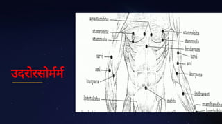 उदरोरसोमम
 