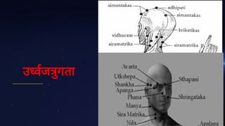 उ वज ु
गता
 