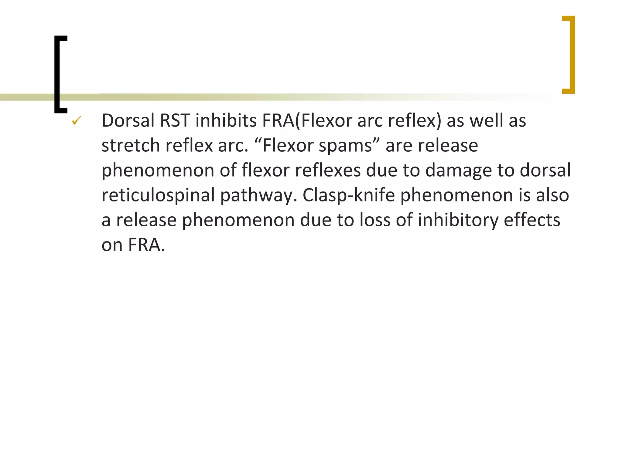  Dorsal RST inhibits FRA(Flexor arc reflex) as well as
stretch reflex arc. “Flexor spams” are release
phenomenon of flexor reflexes due to damage to dorsal
reticulospinal pathway. Clasp-knife phenomenon is also
a release phenomenon due to loss of inhibitory effects
on FRA.
 