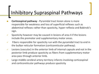 Inhibitory Supraspinal Pathways
 Corticospinal pathway - Pyramidal tract lesion alone is more
responsible for weakness and loss of superficial reflexes such as
abdominal reflexes rather than spasticity, hyper-reflexia and Babinski's
sign.
 Spasticity however may be caused in lesions of area 4 if the lesions
include the premotor and supplementary motor areas.
 Fibers responsible for spasticity run with the pyramidal tract to end in
the bulbar reticular formation (corticoreticular pathway).
 Lesions (vascular) in the anterior limb of internal capsule and not in the
posterior limb produce spasticity as fibers from supplementary motor
area pass through anterior limb.
 Large middle cerebral artery territory infarcts involving corticospinal
and corticoreticular pathways produce spasticity
 