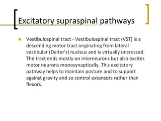 Excitatory supraspinal pathways
 Vestibulospinal tract - Vestibulospinal tract (VST) is a
descending motor tract originating from lateral
vestibular (Deiter's) nucleus and is virtually uncrossed.
The tract ends mostly on interneurons but also excites
motor neurons monosynaptically. This excitatory
pathway helps to maintain posture and to support
against gravity and so control extensors rather than
flexors.
 