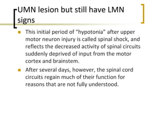 UMN lesion but still have LMN
signs
 This initial period of “hypotonia” after upper
motor neuron injury is called spinal shock, and
reflects the decreased activity of spinal circuits
suddenly deprived of input from the motor
cortex and brainstem.
 After several days, however, the spinal cord
circuits regain much of their function for
reasons that are not fully understood.
 