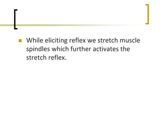  While eliciting reflex we stretch muscle
spindles which further activates the
stretch reflex.
 