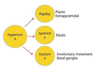 Spasticity from clinical neurology to management | PPTX