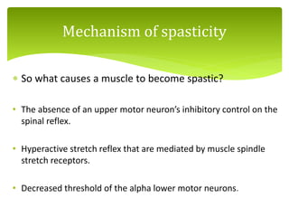  So what causes a muscle to become spastic?
• The absence of an upper motor neuron’s inhibitory control on the
spinal reflex.
• Hyperactive stretch reflex that are mediated by muscle spindle
stretch receptors.
• Decreased threshold of the alpha lower motor neurons.
Mechanism of spasticity
 