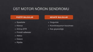 NEGATİF BULGULAR
POZİTİF BULGULAR
 