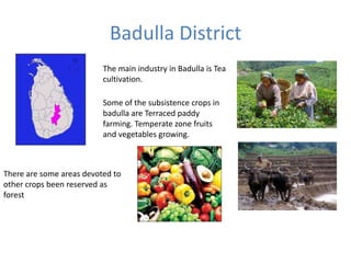 Spatial development in sri lanka | PPTX