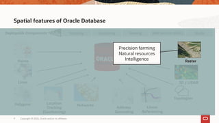 Copyright © 2020, Oracle and/or its affiliates9
Spatial features of Oracle Database
Topologies
3D / LiDAR
Networks
Web Services (OGC)Geocoding RoutingDeployable Components Mapping
Polygons
Lines
Points
Location
Tracking
(Geofencing)
Studio
Address
Geocoding
Linear
Referencing
Raster
Precision farming
Natural resources
Intelligence
 