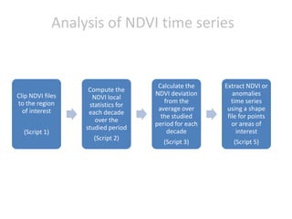 Spatio-temporal analyses of primary production